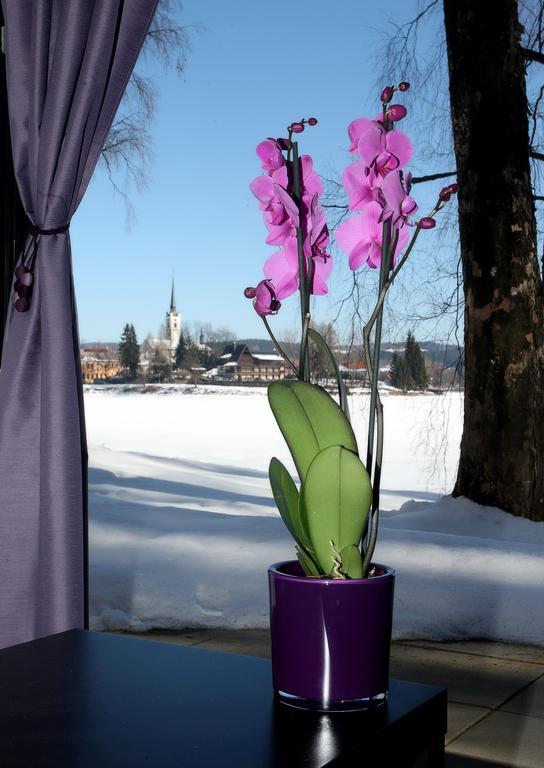 Apartmany Bella Vista Lipno Frydava Extérieur photo