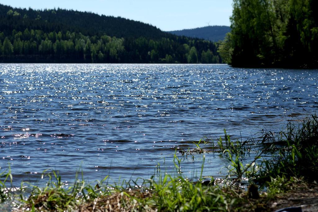 Apartmany Bella Vista Lipno Frydava Extérieur photo