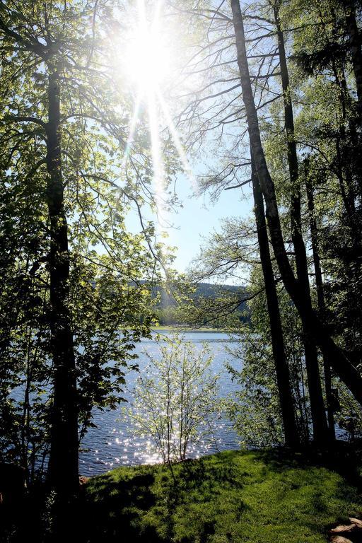 Apartmany Bella Vista Lipno Frydava Extérieur photo