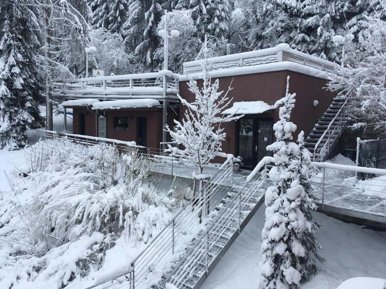 Apartmany Bella Vista Lipno Frydava Extérieur photo